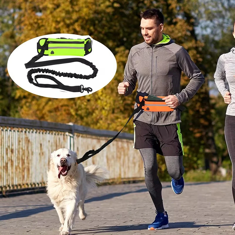 Hands Free Dog Leash for Runni - Running Gear Belt 评论和价格