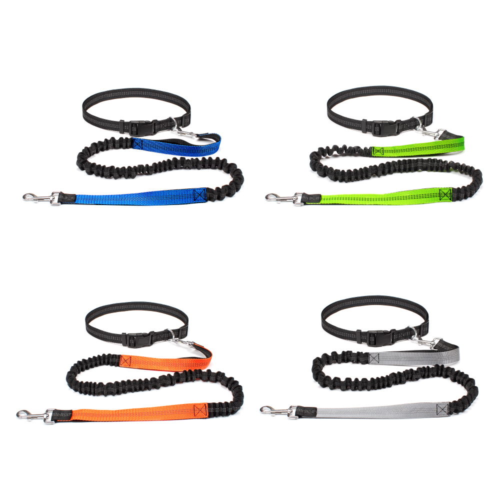 Hand Free Dog Leash for Pet Wa - Running Gear Belt 评论和价格