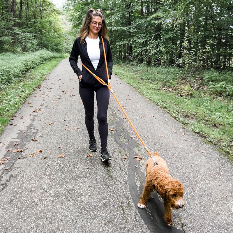Reflective Hands-Free Dog Leas - Running Gear Belt 评论和价格